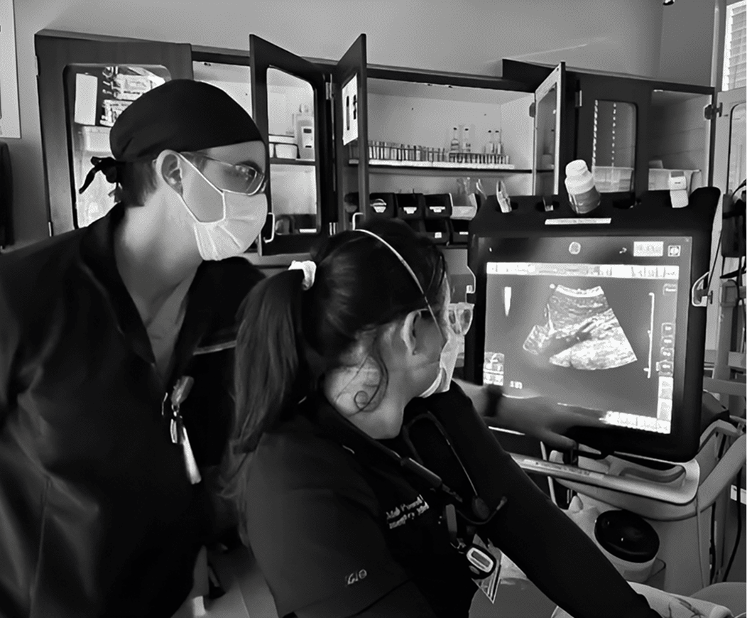Healthcare workers reviewing patient ultrasound